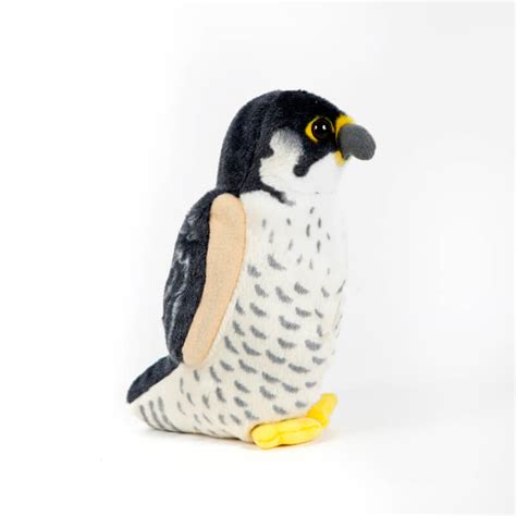 Peluche de halcón peregrino | Tienda SEO/BirdLife, regalos ...