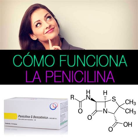 Penicilina: Cómo Funciona, Efectos Secundarios Y ...