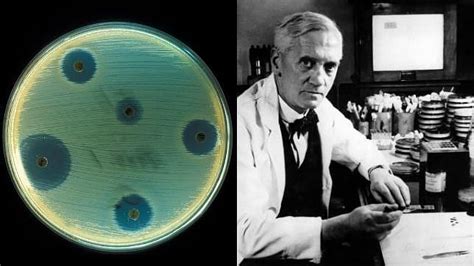 Penicilina, el antibiótico que revolucionó la medicina