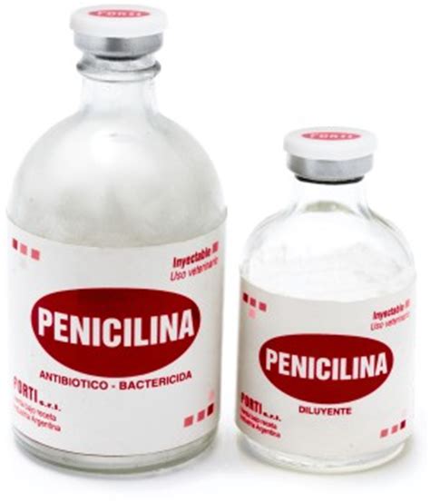 Penicilina en el embarazo | Antibióticos en el embarazo
