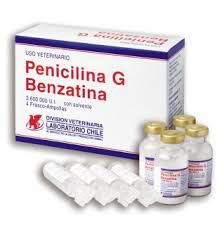 Penicilina G: indicaciones, posología y efectos secundarios