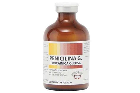 Penicilina G, segura y confiable para evaluar a niños con ...
