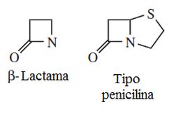 Penicilina   Hongo Penicillium Chrysogenum