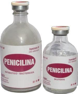 Penicilina, tratamiento contra la sífilis | Infecciónes ...