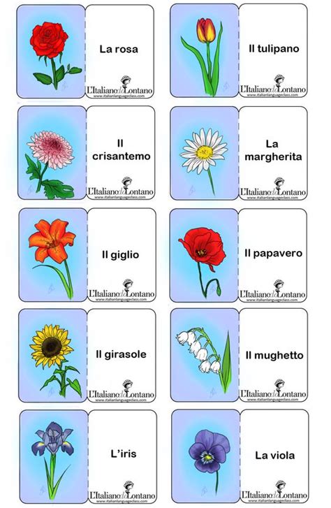 Per imparare i nomi dei fiori in italiano. #flashcards # ...