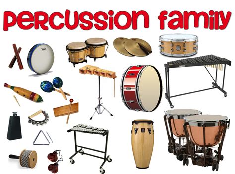 Percussion Instruments   MUSIC ROCKS!!!