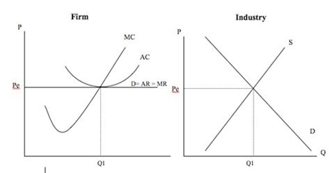 Perfect competition | Economics Help