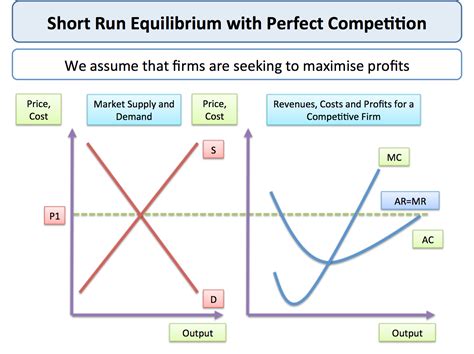 Perfect Competition   Short Run Price and Output ...