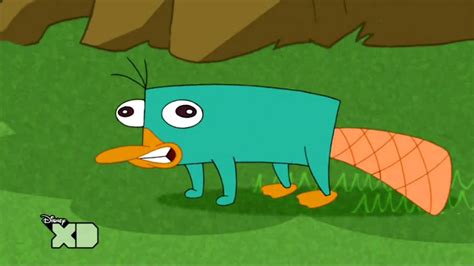 Perry The Platypus Wallpapers   Wallpaper Cave