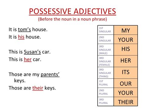 Personal Pronouns, Possessive Pronouns and Possessive ...
