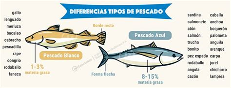 ¿Pescado azul o blanco? Características y diferencias ...