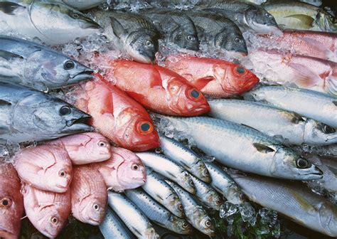 ¿Pescado blanco o pescado azul? El peligro del mercurio en ...