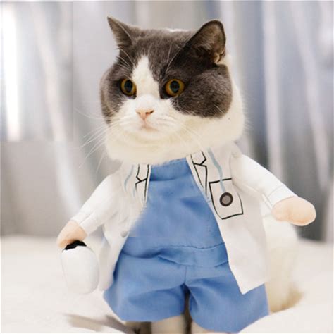 Pet Supplies Cat Clothes Cats Wear Pet Coats Hoopet ...
