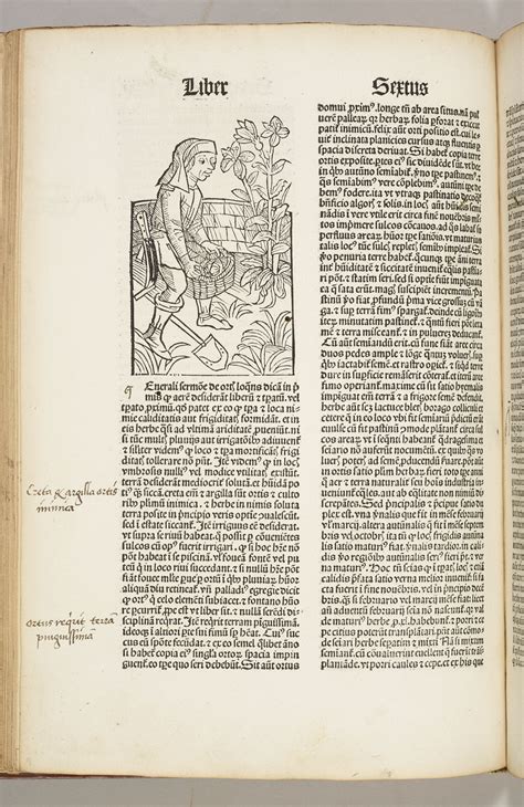 Petrus de Crescentiis  c. 1230–35–c. 1320    Ruralia Commoda