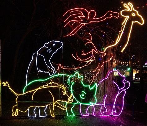Phoenix Zoo Lights Groupon | Decoratingspecial.com