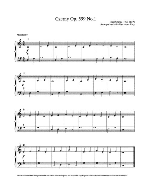 Piano Exercises For Beginners Pdf   practical exercises ...