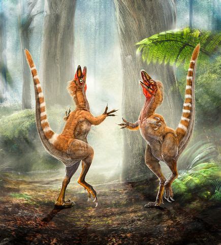 Pictures: Dinosaur s Flashy Feathers Revealed
