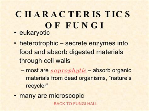 Pin Characteristics of fungi on Pinterest