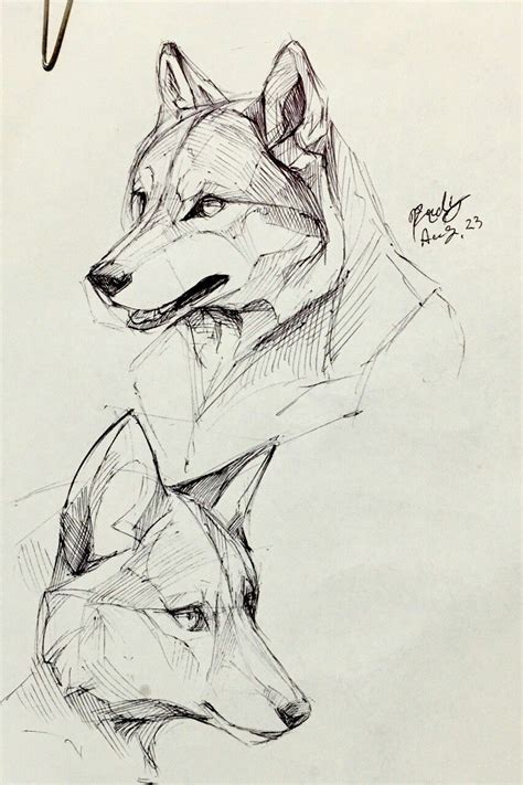 Pin de AgentLynx97 en animals | Pinterest | Lobos, Dibujo ...
