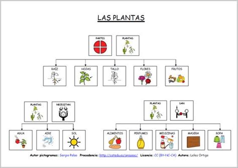 Pin de Alba Vera en ciencias | Pinterest | Ciencia ...