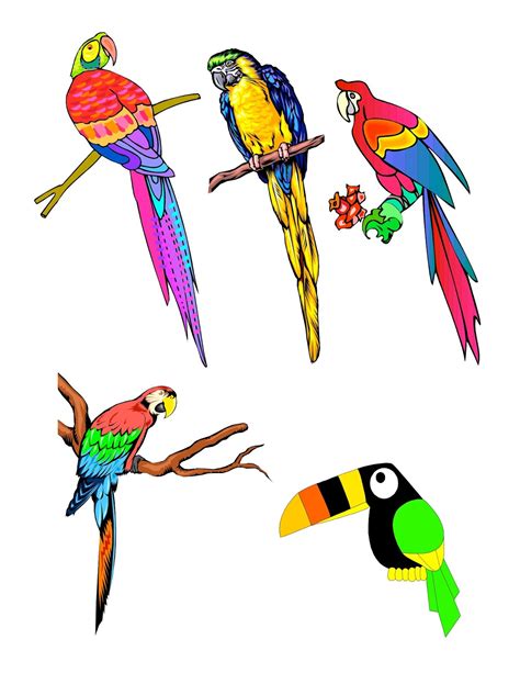 Pin No Corner Suns M Birds Tropical Bird Clip Art Page on ...