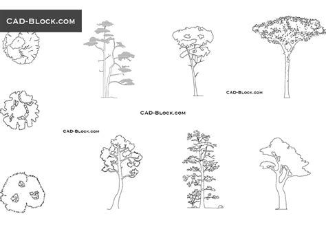 Pine Tree CAD blocks, AutoCAD models free download, Trees ...