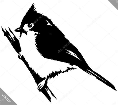 pintura blanco y negro dibujar la ilustración de vector de ...