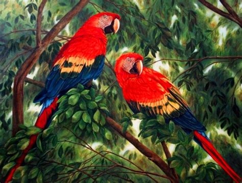 Pinturas Cuadros Lienzos: Cuadros de aves decorativos