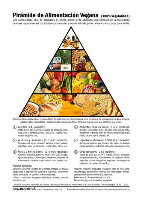 Pirámide de Alimentación Vegana | Igualdad Animal