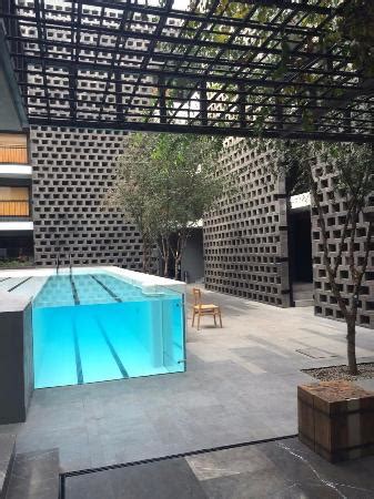 Piscina   Picture of Hotel Carlota, Mexico City   TripAdvisor