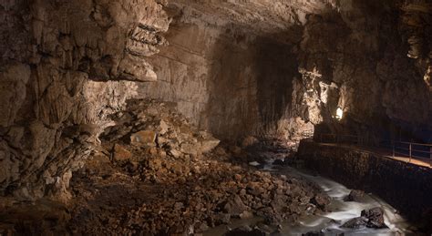 Pivka Cave and Black Cave » Postojna Cave