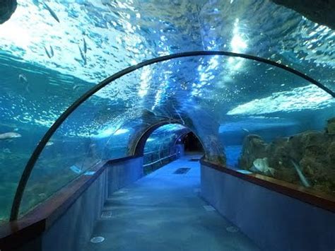 Places to see in   San Sebastian   Spain   Aquarium ...