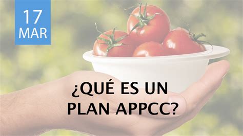 Plan APPCC: Un Plan de Seguridad Alimentaria | Nelsan ...