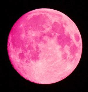 Planeta Cereza: Luna de abril, Luna rosada