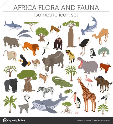 Plano 3d isométrico África flora y fauna mapa constructor ...
