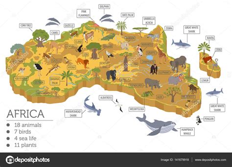 Plano 3d isométrico África flora y fauna mapa constructor ...