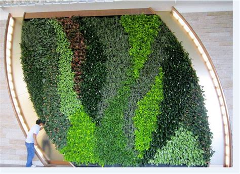 Planta Artificial pared de alta calidad con precio bajo de ...