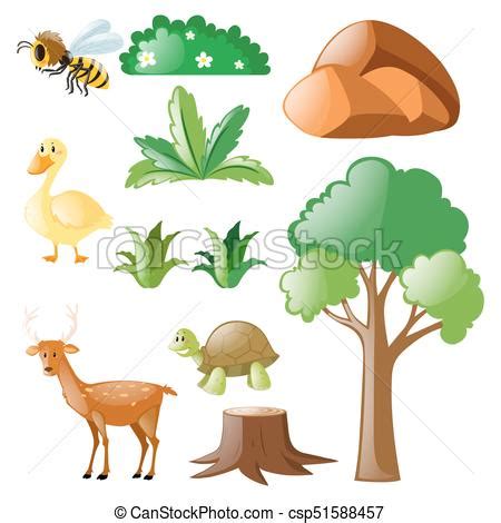 Plantas, conjunto, animales, naturaleza. Plantas, conjunto ...