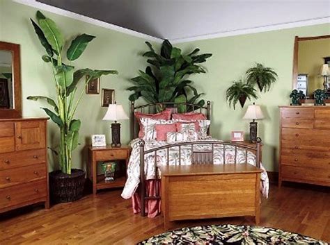 plantas de interior FOTOS plantas para el dormitorio ...