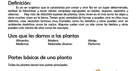 PLANTAS DE JARDIN: informacion sobre plantas