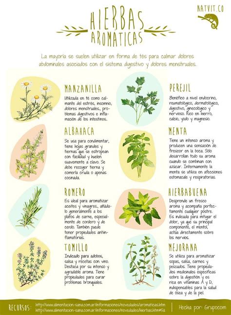 plantas medicinales | Especias Hierbas y otros condimentos ...