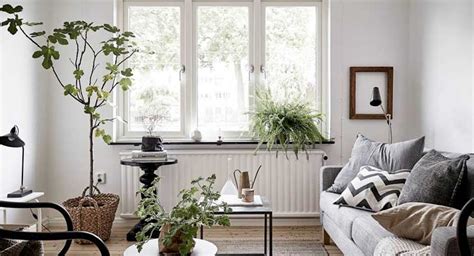 Plantas naturales y estilo escandinavo – Decoracion de ...