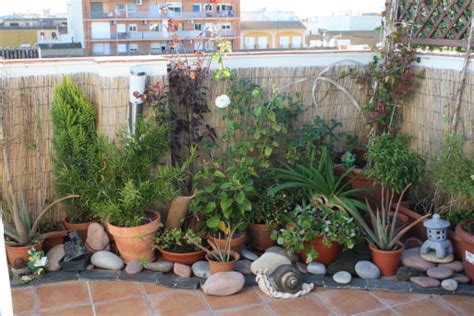 Plantas Para Balcones Con Mucho Sol. Best Plantas Para ...