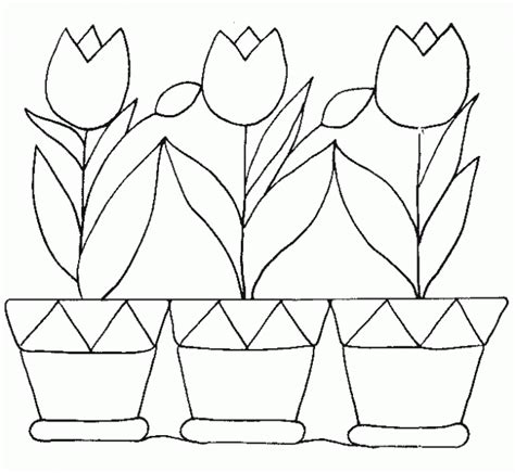 Plantas para colorear | Dibujos infantiles, imagenes ...