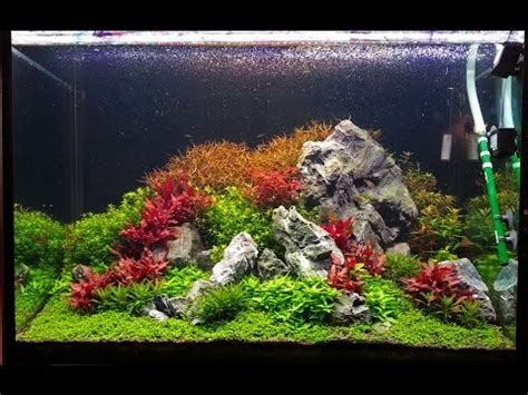 Planted tank, rock and AR mini aquascape   YouTube