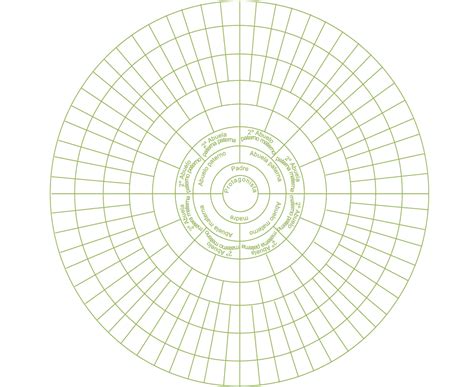 plantilla arbol genealogico concentrico circular.gif  1024 ...