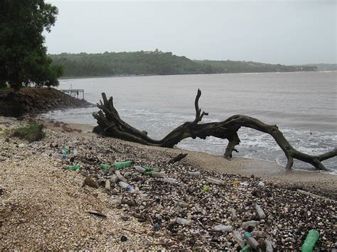 Plastic pollution   Wikipedia