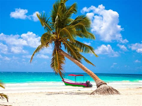 Playa Paraíso, un rincón del cielo para relajarte en Tulum