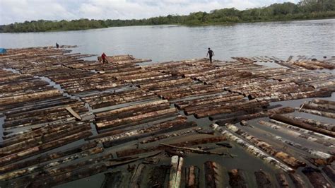 PNP incauta madera de origen ilegal en Loreto valorizada ...