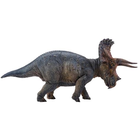 PNSO Triceratops   PNSO Age of Dinosaurs Triceratops